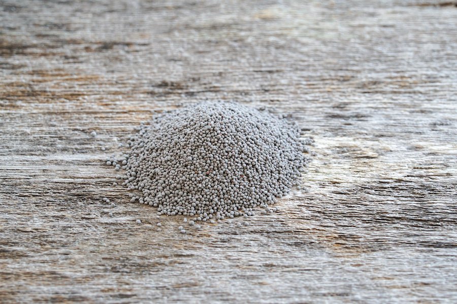 Balansa Clover (pre - inoculated) - Hale Habitat & Seed