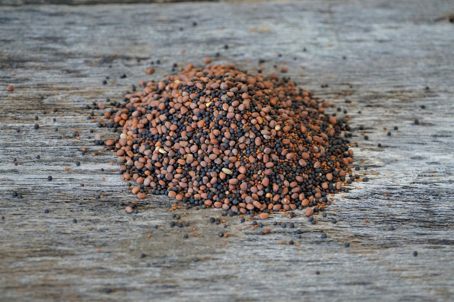 Brassica Blend Food Plot Mix - Hale Habitat & Seed