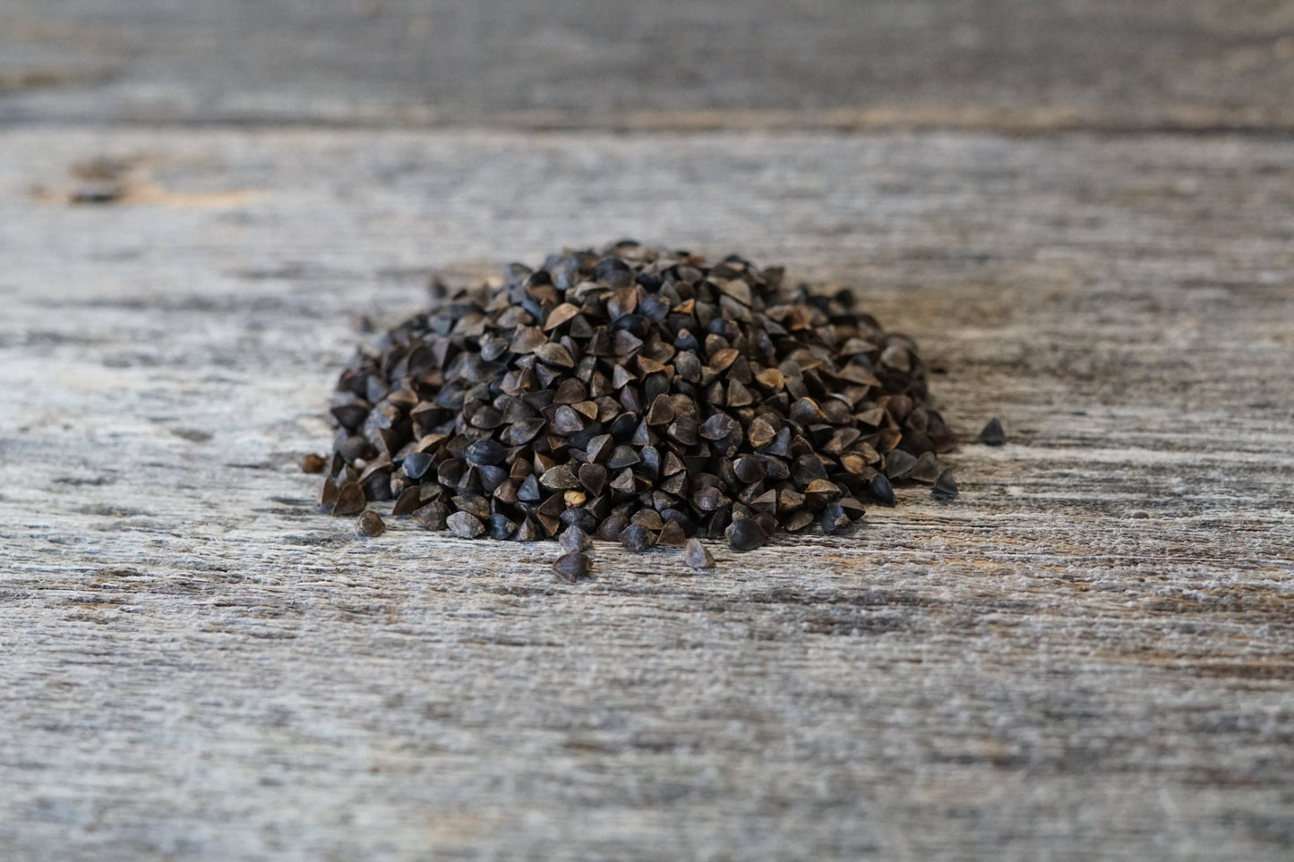Buckwheat - Hale Habitat & Seed