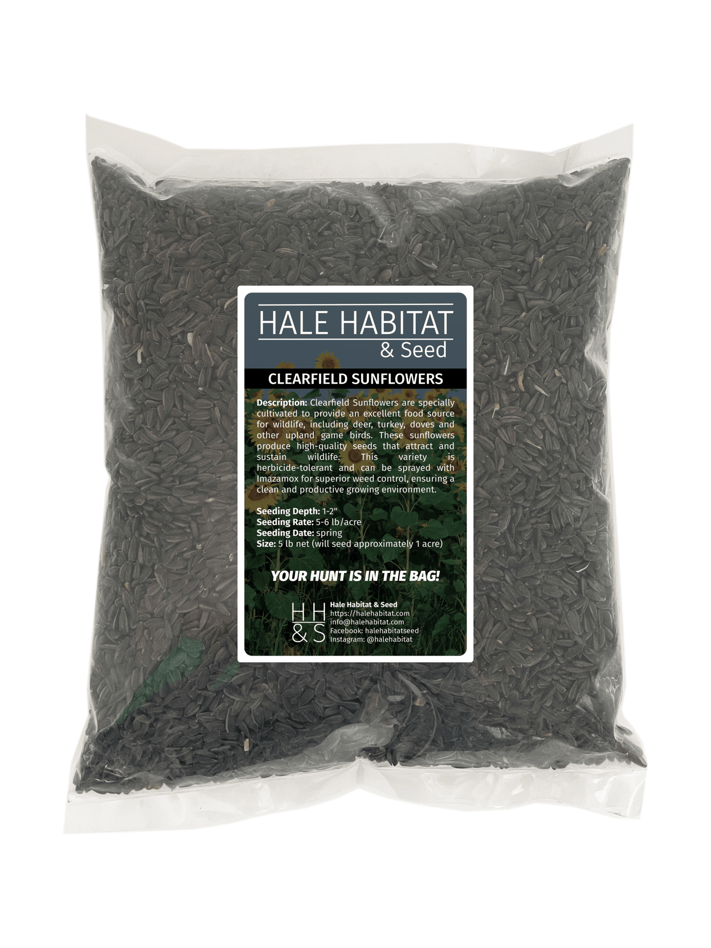Clearfield® Hybrid Sunflowers - Hale Habitat & Seed