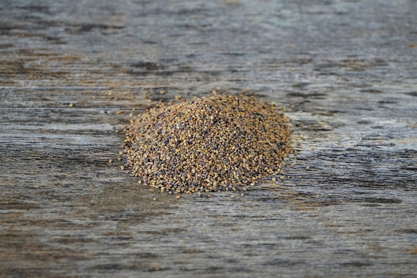 Clovers, Alfalfa, & Chicory Food Plot Mix - Hale Habitat & Seed