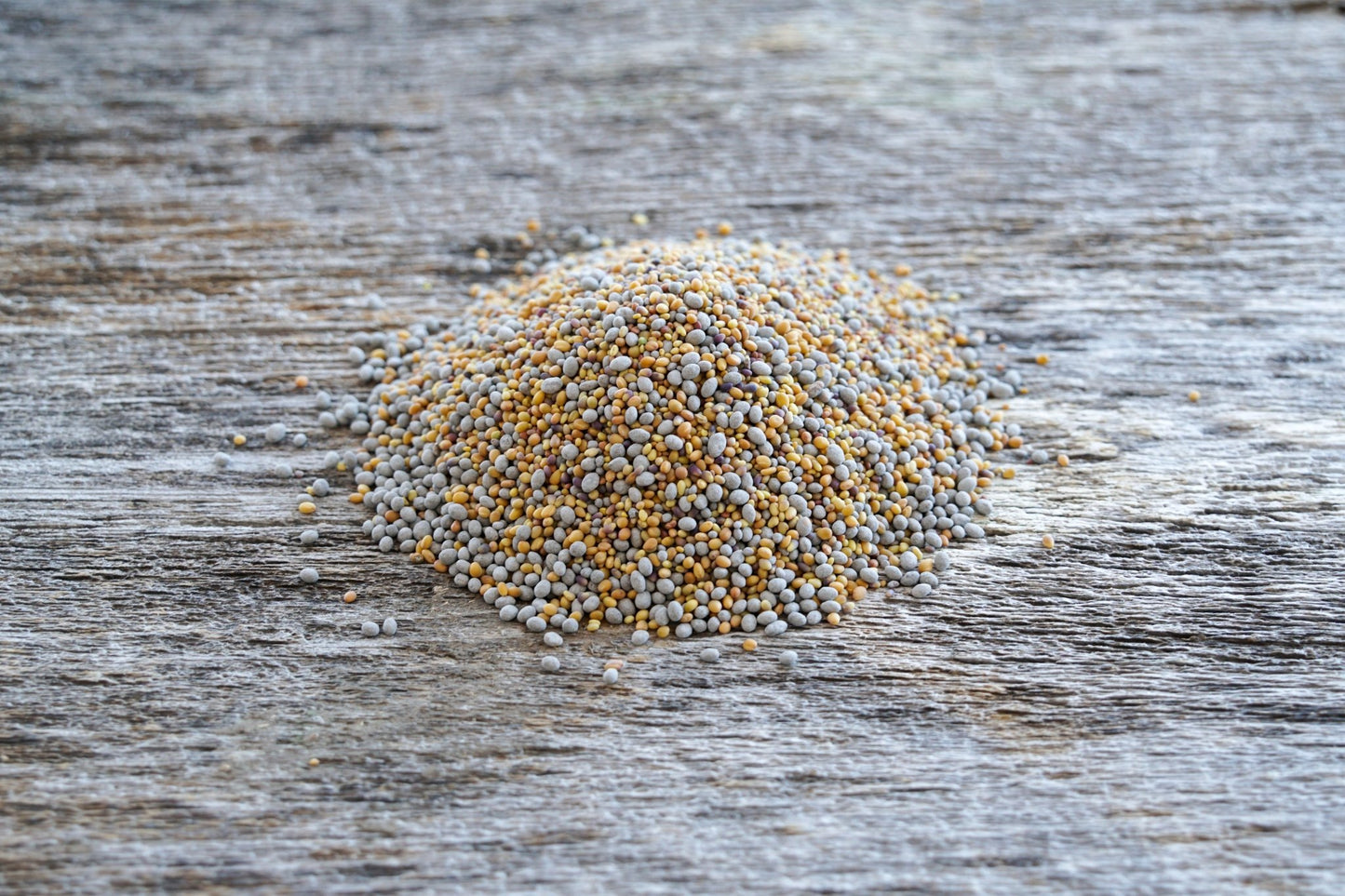 Completely Clover Food Plot Mix - Hale Habitat & Seed