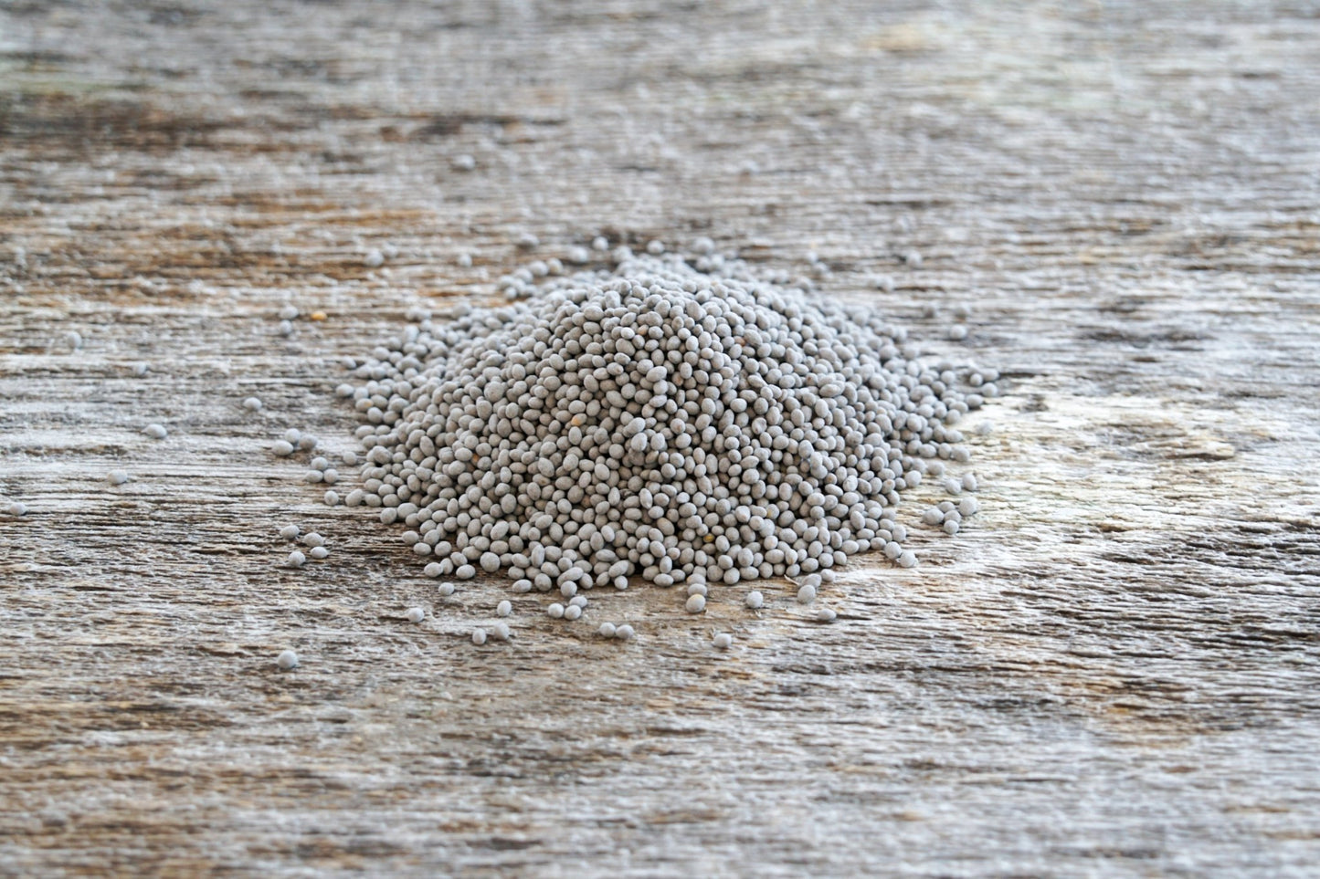 Crimson Clover (pre - inoculated) - Hale Habitat & Seed