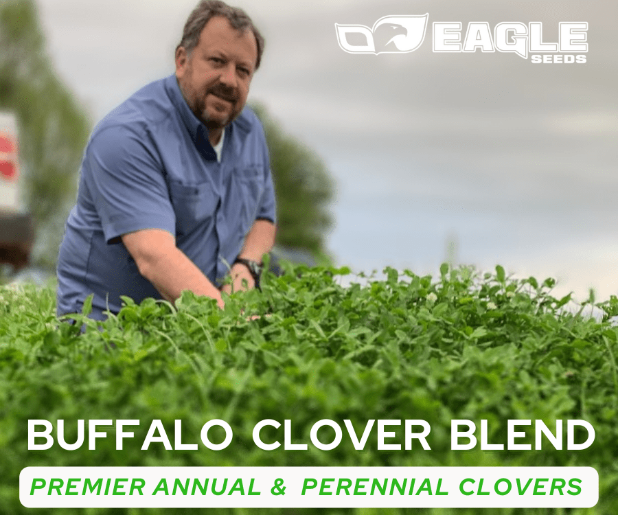 Eagle Seed - Buffalo Clover Blend - Hale Habitat & Seed