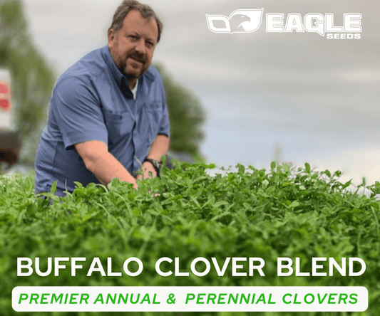 Eagle Seed - Buffalo Clover Blend - Hale Habitat & Seed