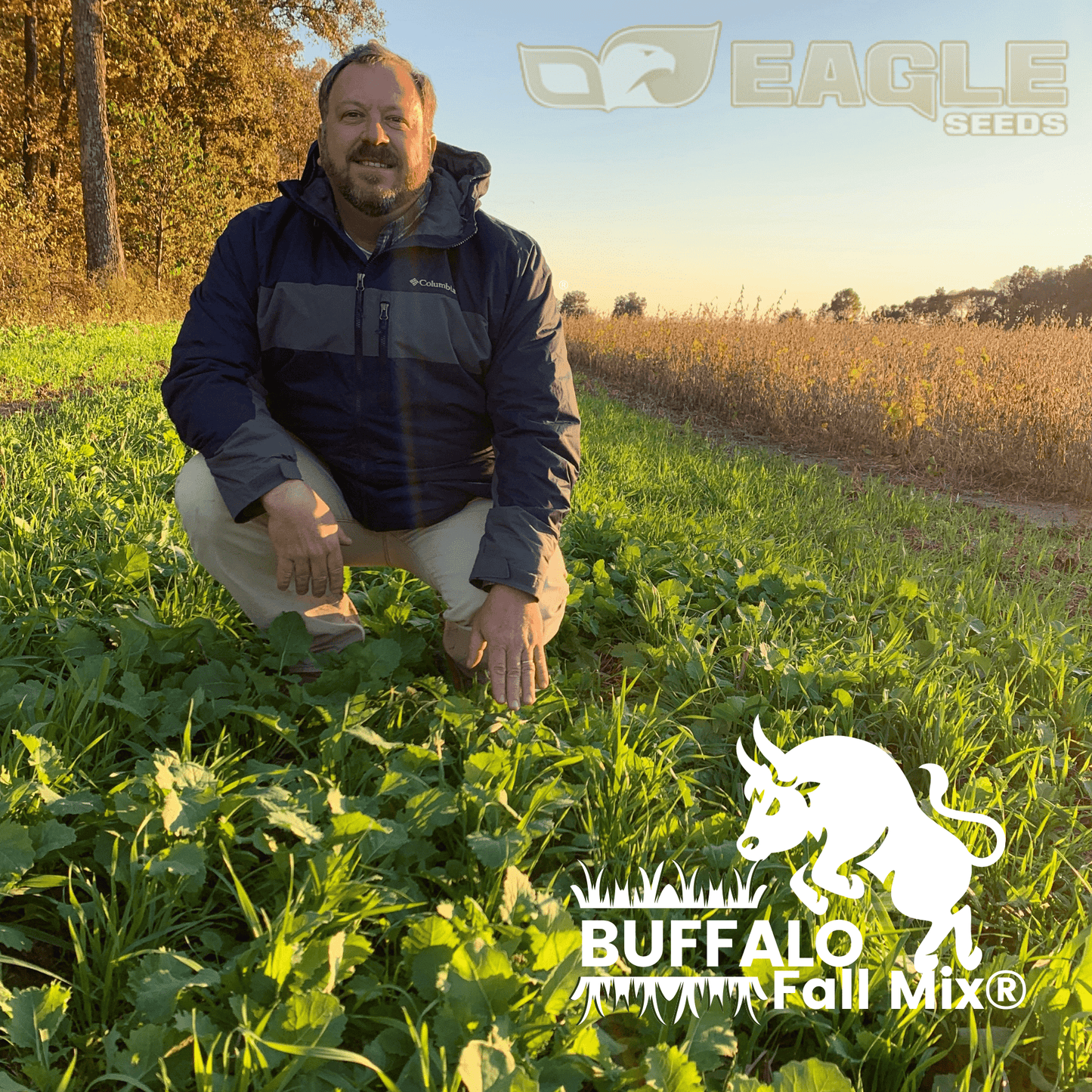 Eagle Seed - ES Buffalo Fall Mix® - Hale Habitat & Seed