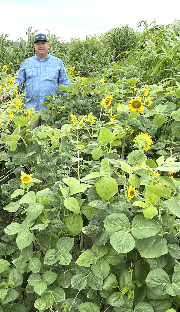 Eagle Seed - ESCO Summer Blend™ - Hale Habitat & Seed
