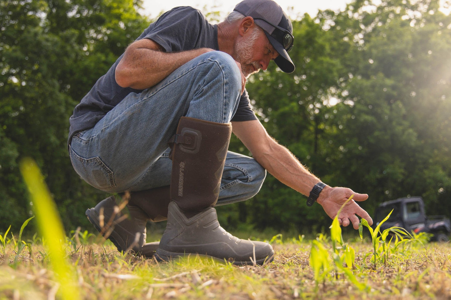 Eagle Seed - Green & Gold - Corn and Soybean Mix - Hale Habitat & Seed