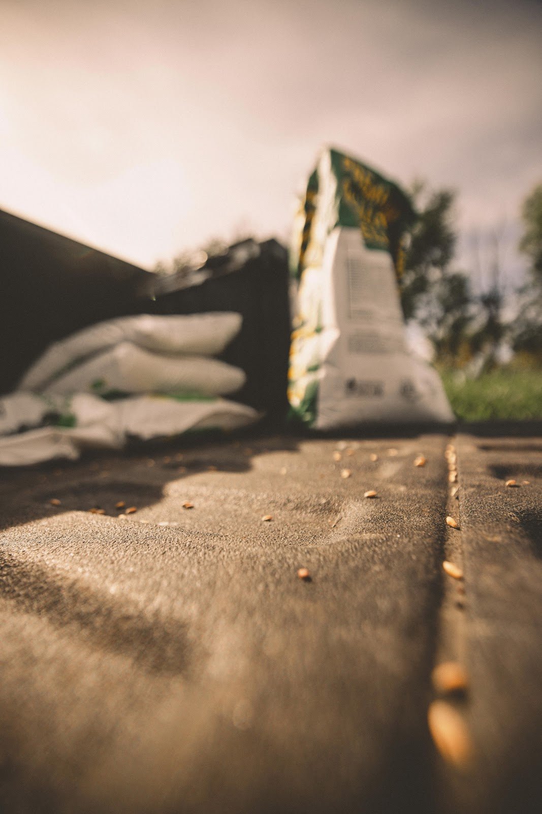 Eagle Seed - Harper's Blend™ - Hale Habitat & Seed