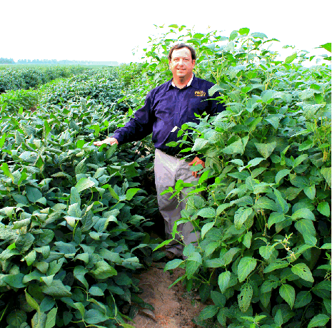 Eagle Seed - Large Lad® Forage Soybeans - Hale Habitat & Seed