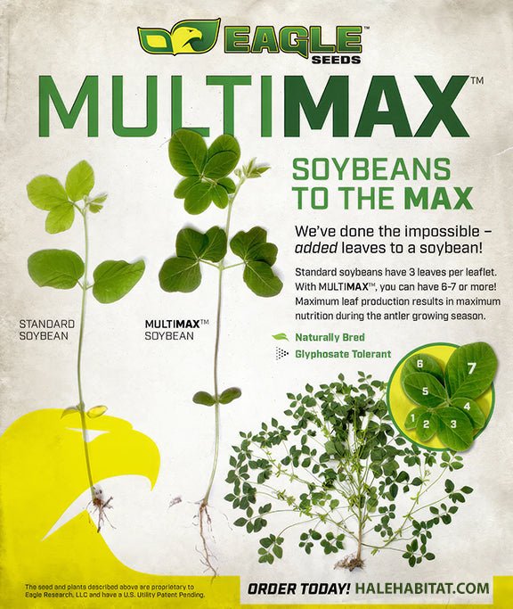 Eagle Seed - Multimax® - Hale Habitat & Seed