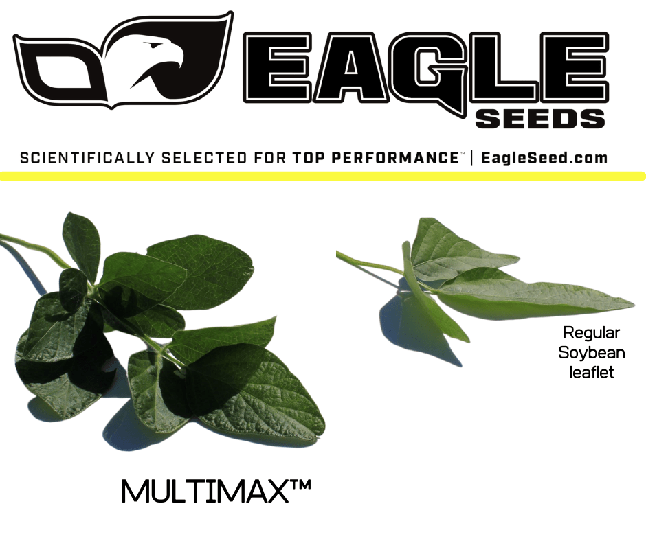 Eagle Seed - Multimax® - Hale Habitat & Seed