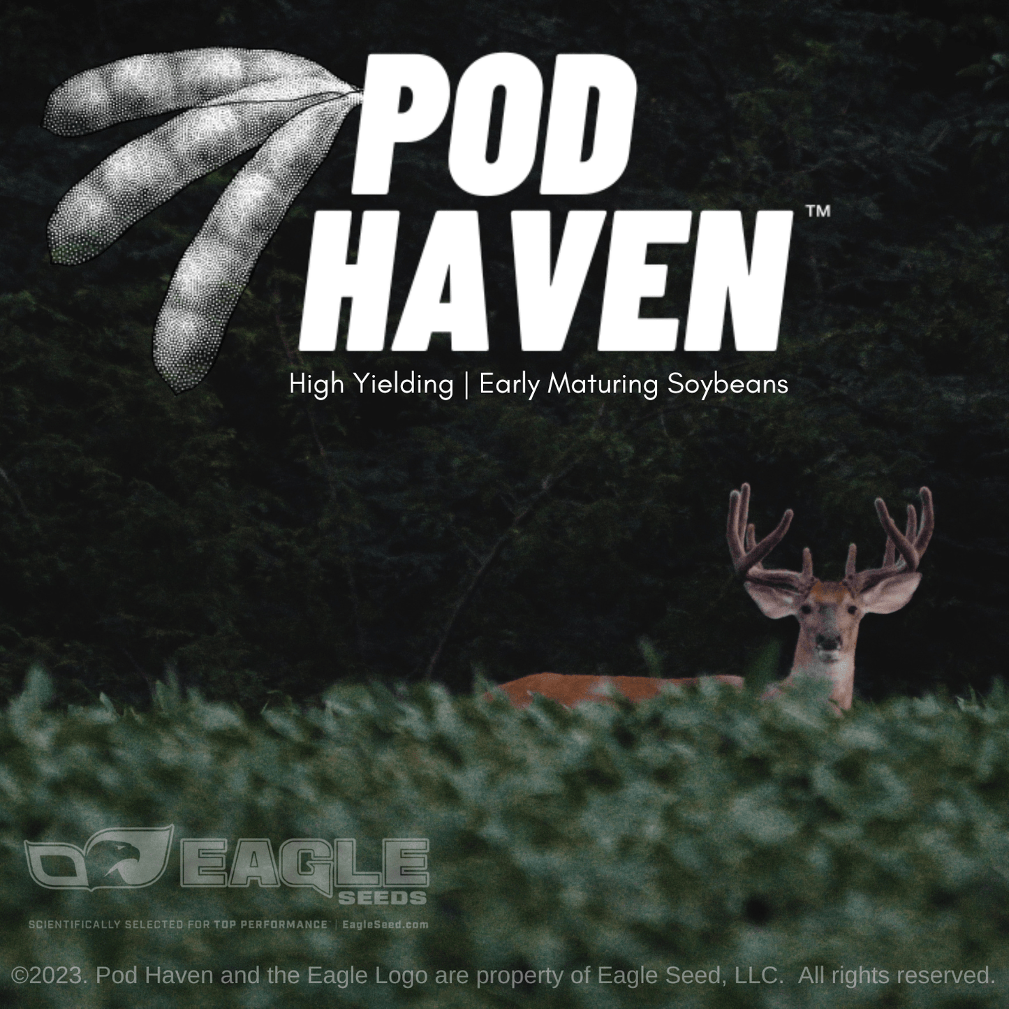 Eagle Seed - Pod Haven® - Hale Habitat & Seed