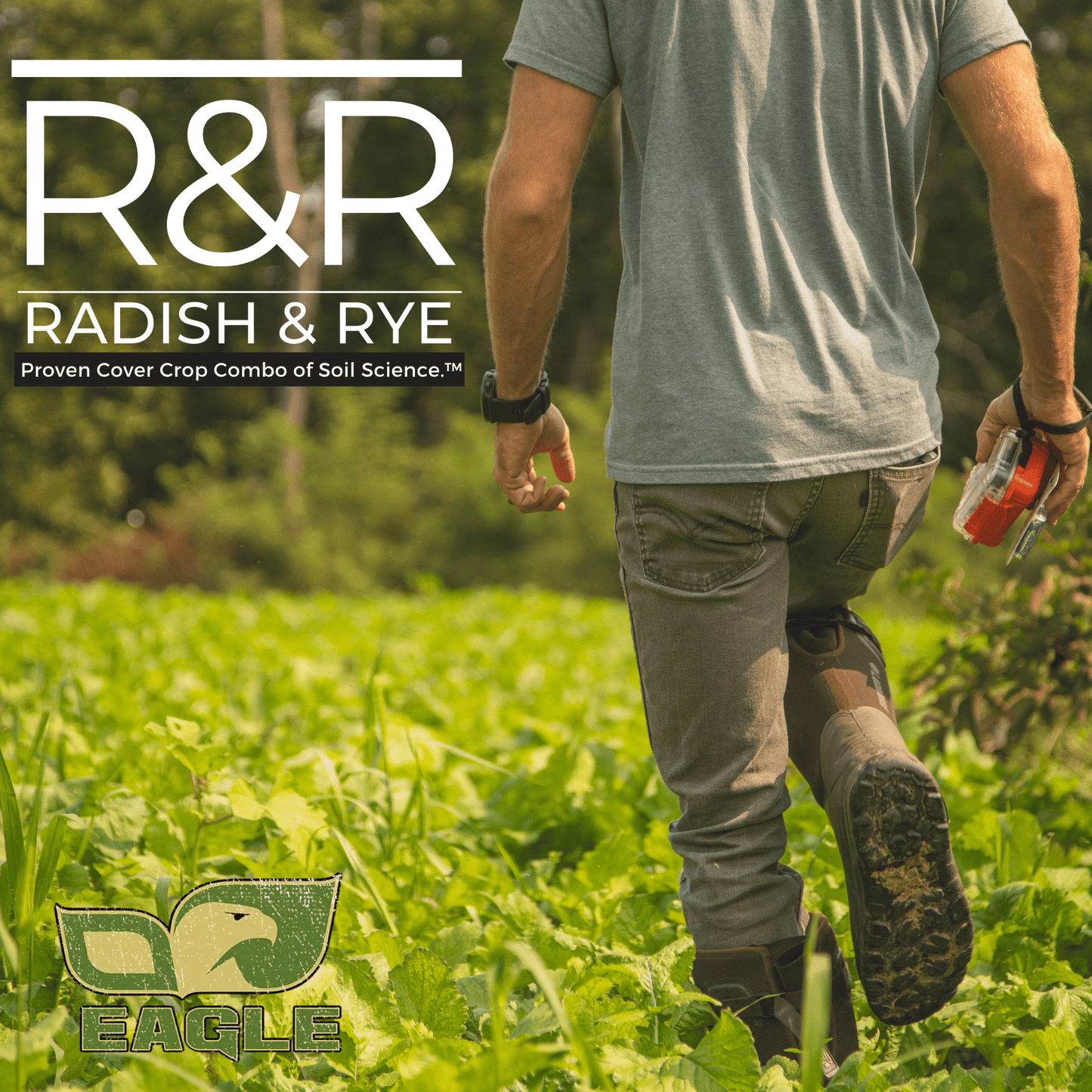Eagle Seed - R&R Fall Blend™ (Rye & Radish) - Hale Habitat & Seed