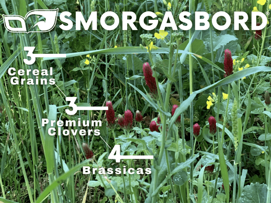 Eagle Seed - Smorgasbord - Hale Habitat & Seed