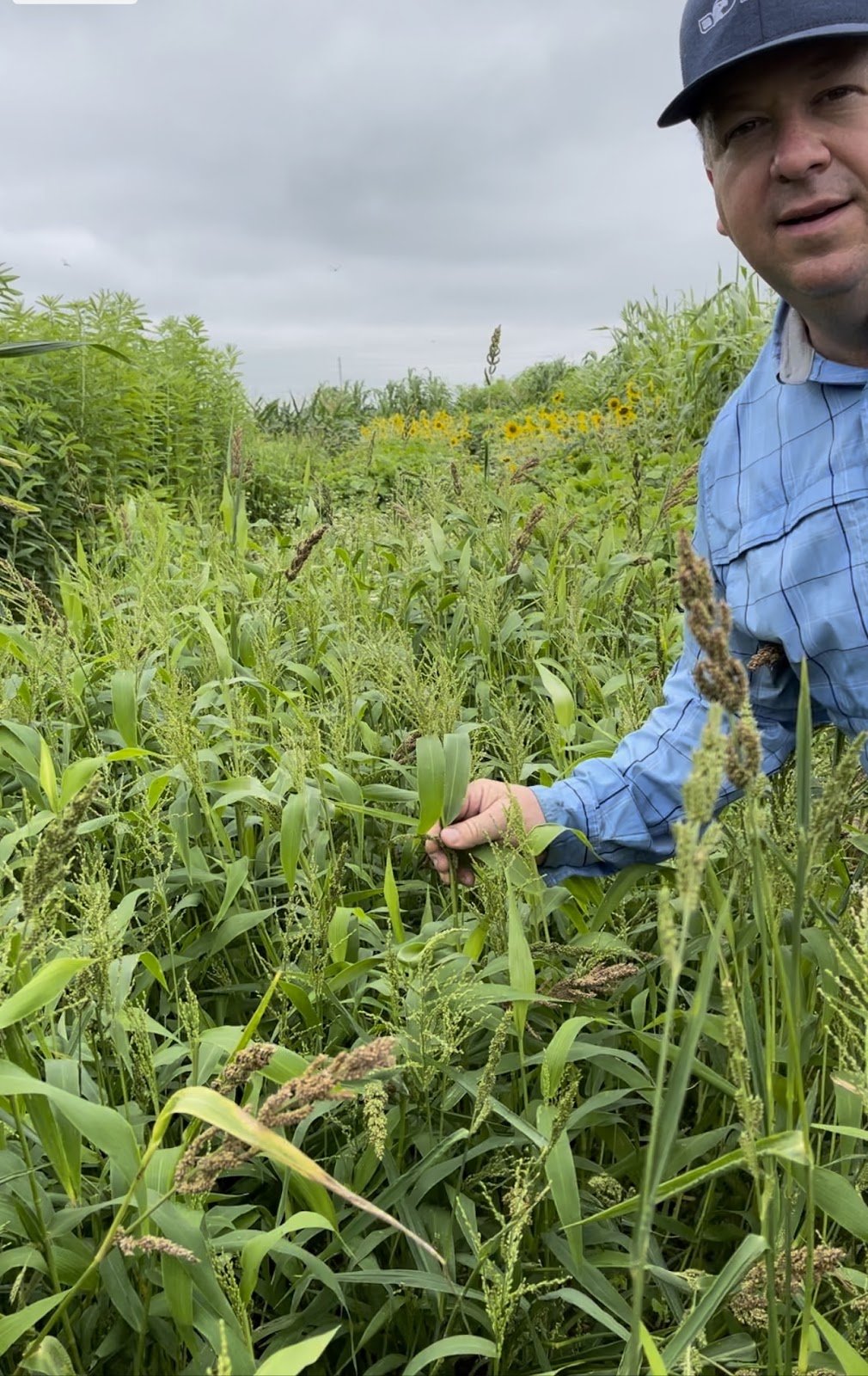 Eagle Seed - Waterfowl Keeper™ - Hale Habitat & Seed