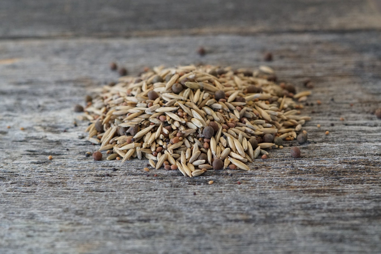 Fall Buffet Food Plot Mix - Hale Habitat & Seed