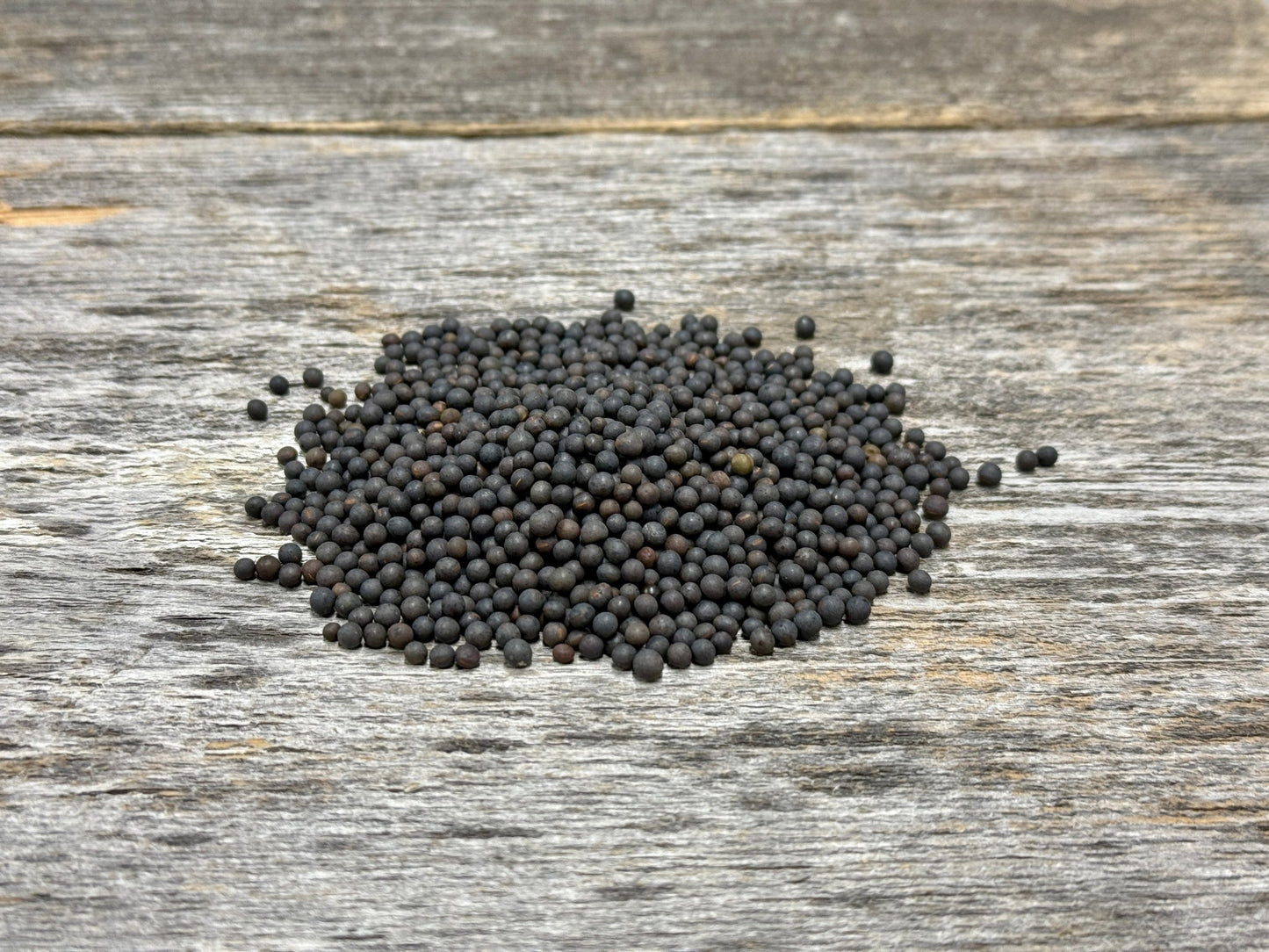 Hairy Vetch - Hale Habitat & Seed