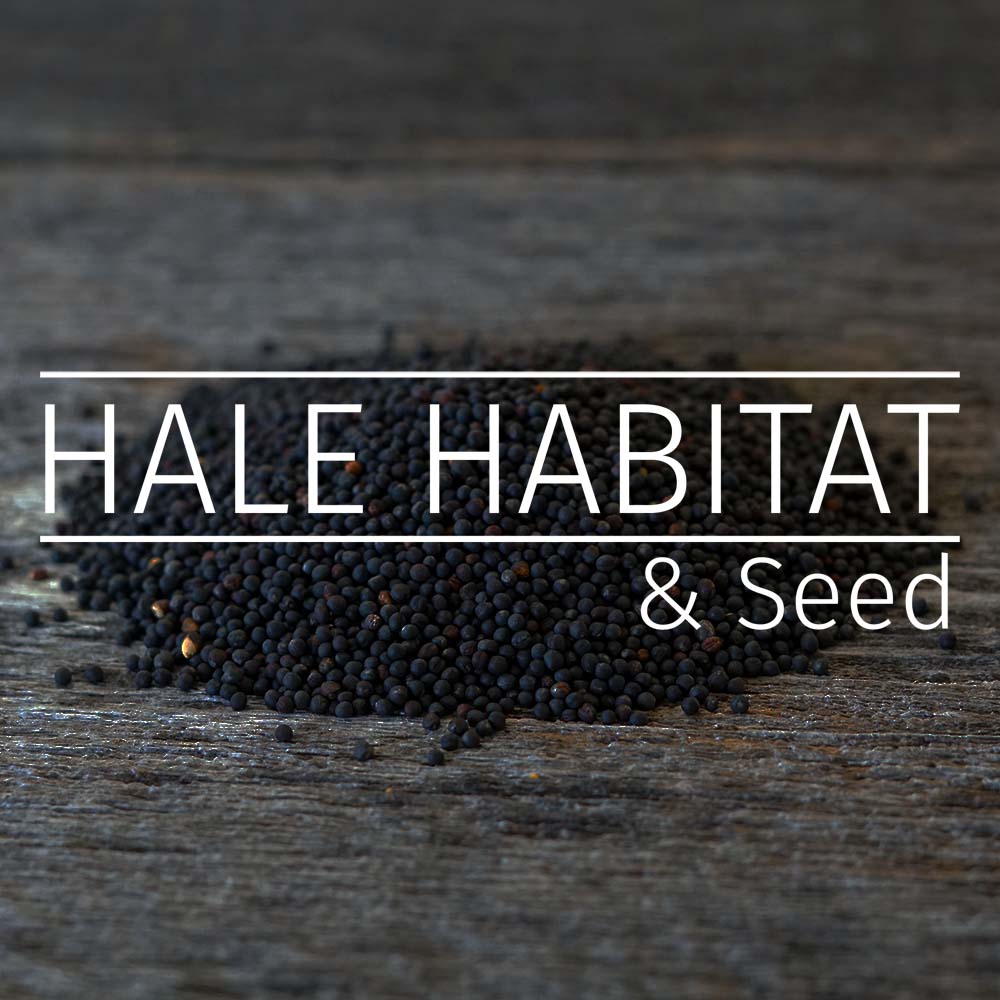 Hale Habitat & Seed Gift Card - Hale Habitat & Seed