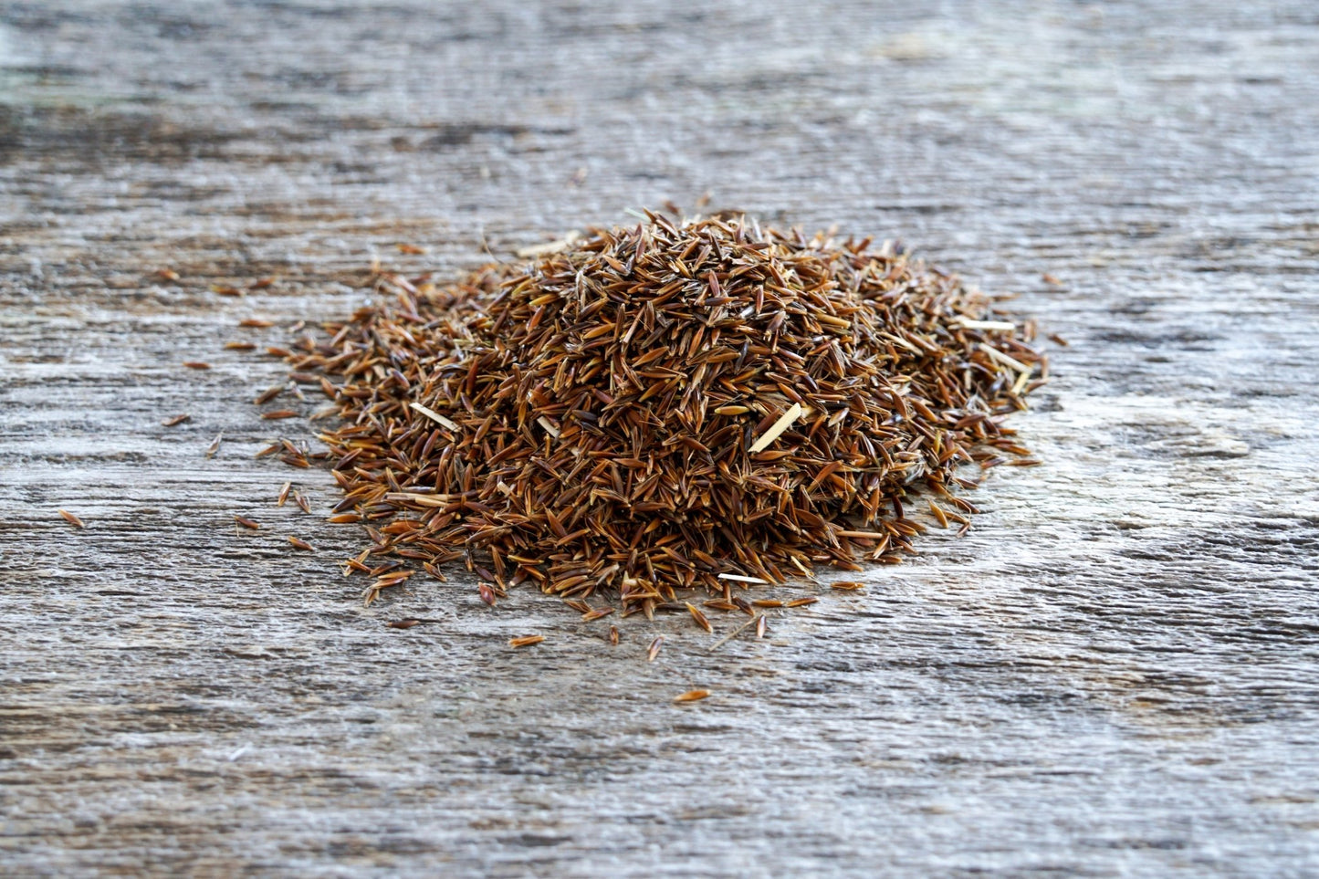 Indiangrass - Hale Habitat & Seed