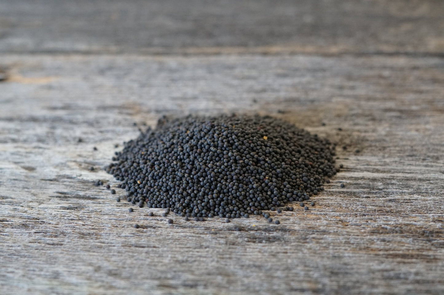 Kale - Hale Habitat & Seed