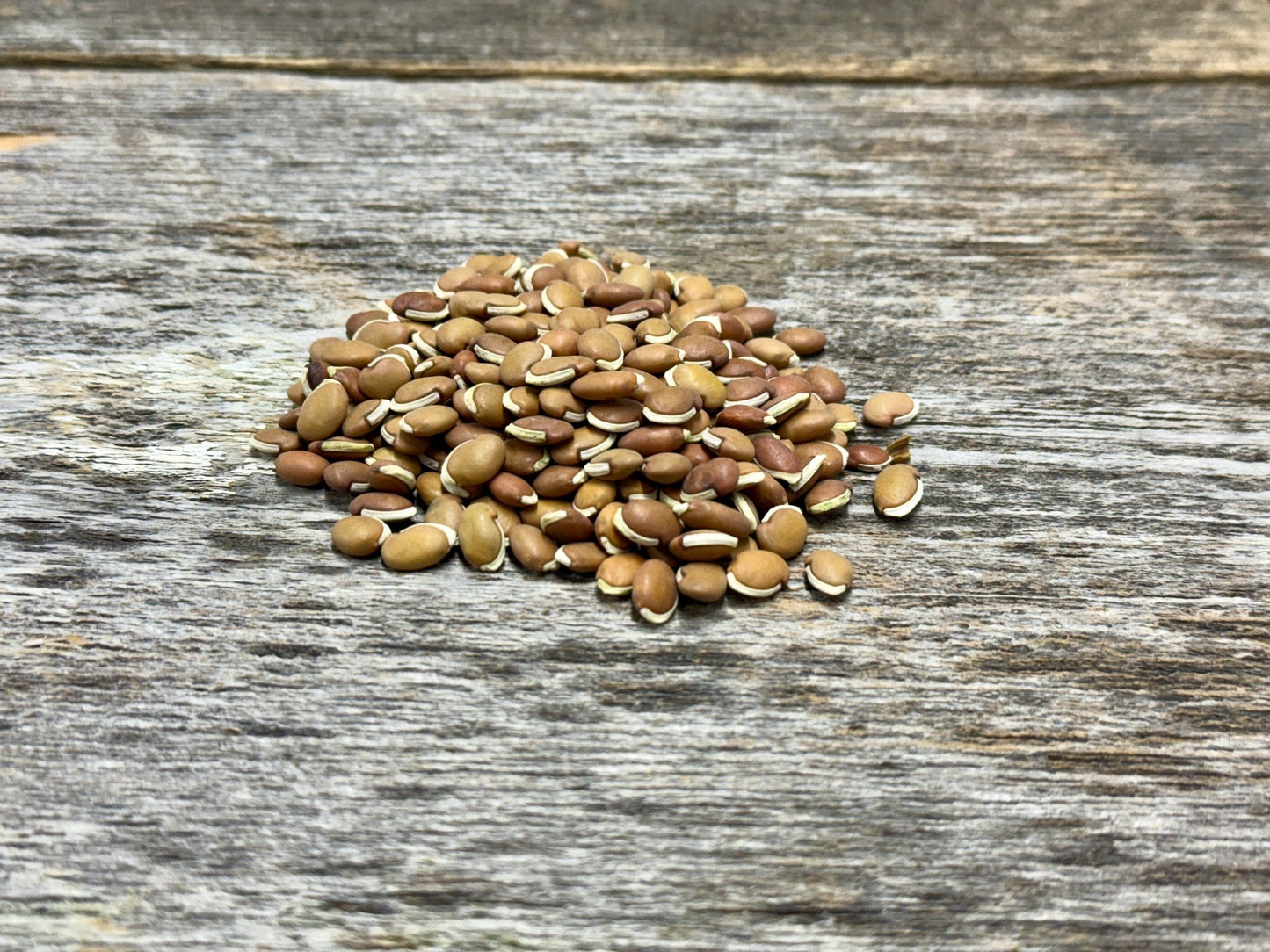 Lablab - Hale Habitat & Seed