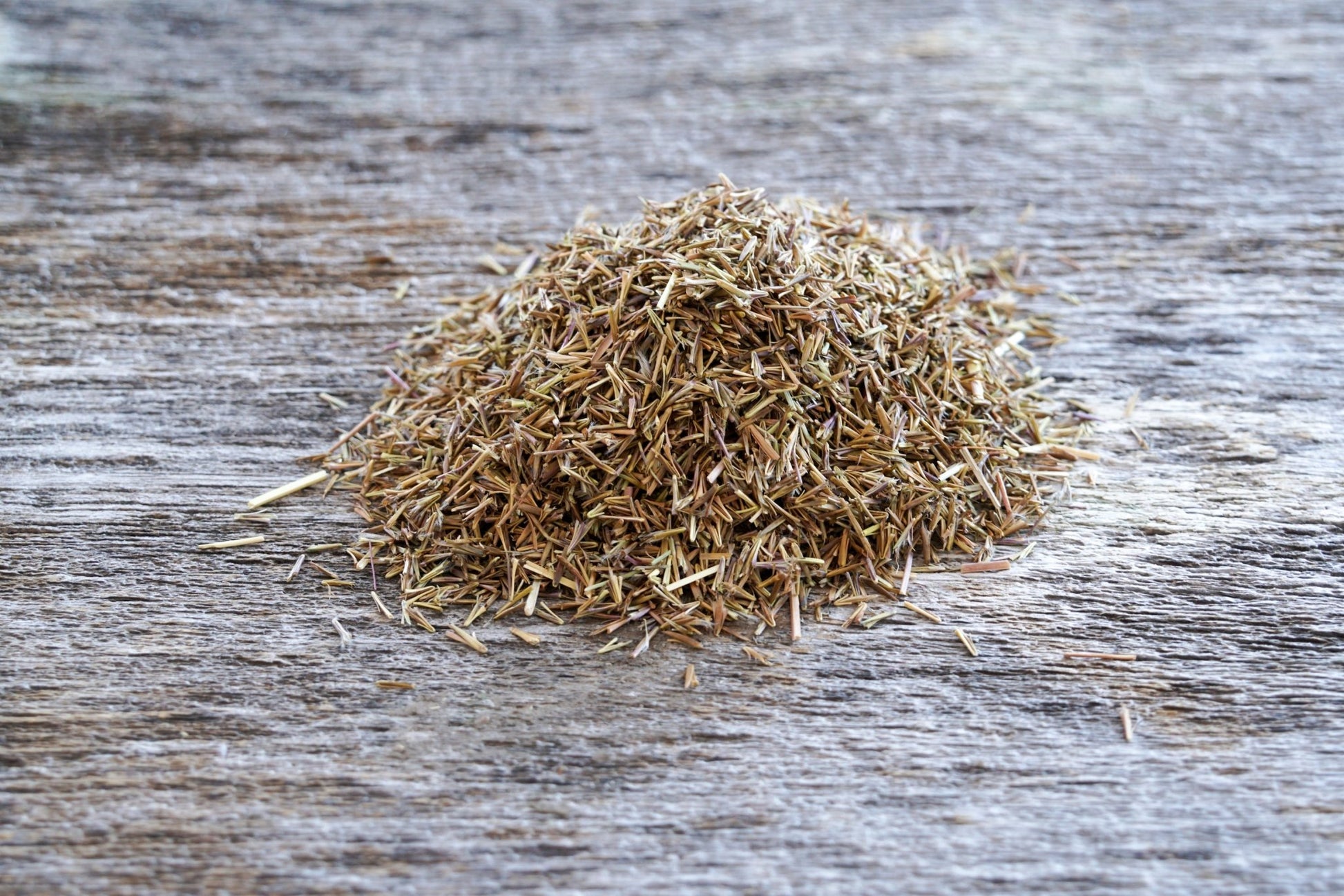 Little Bluestem - Hale Habitat & Seed