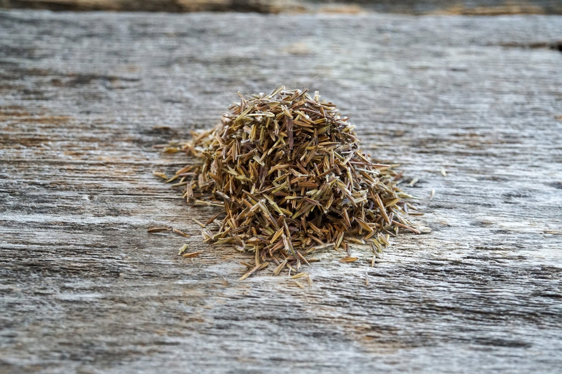 Native Grass & Wildflower Refuge - Hale Habitat & Seed