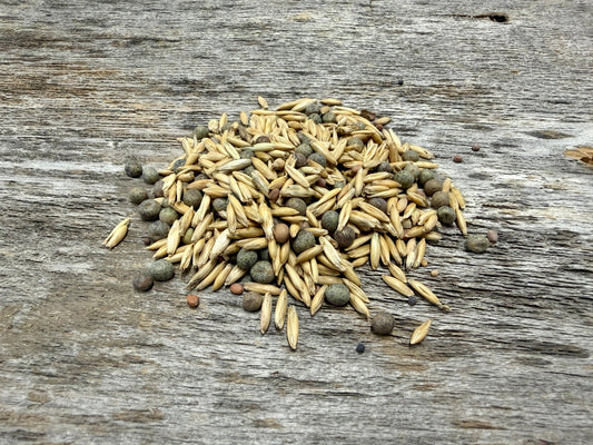 Organic Fall Food Plot Blend for Wildlife - Hale Habitat & Seed