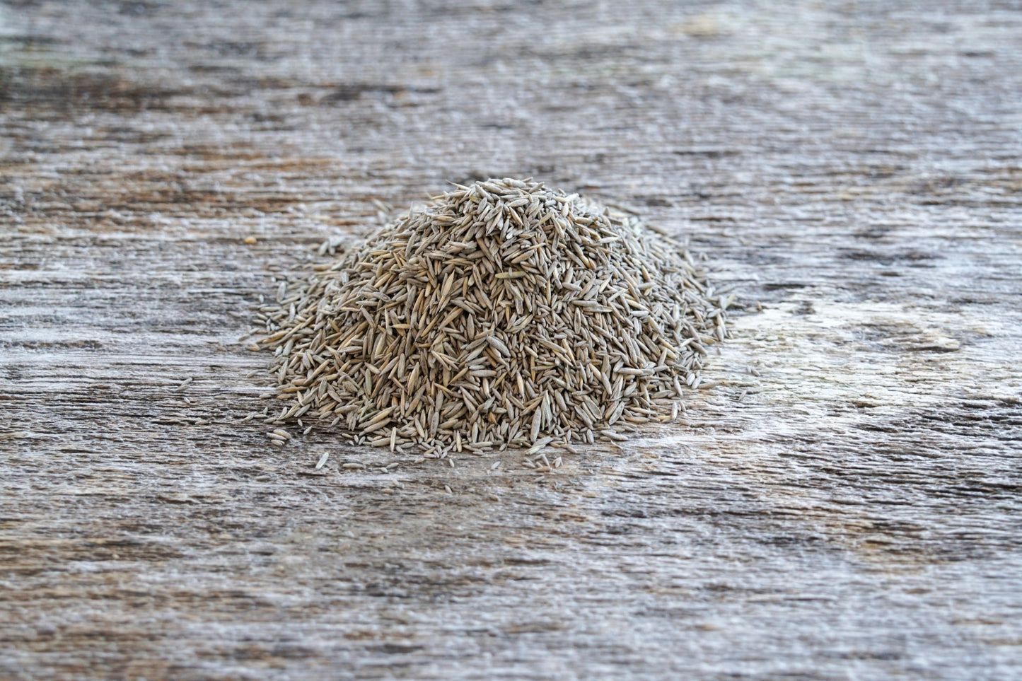 Premium Lawn Seed Mix - Hale Habitat & Seed