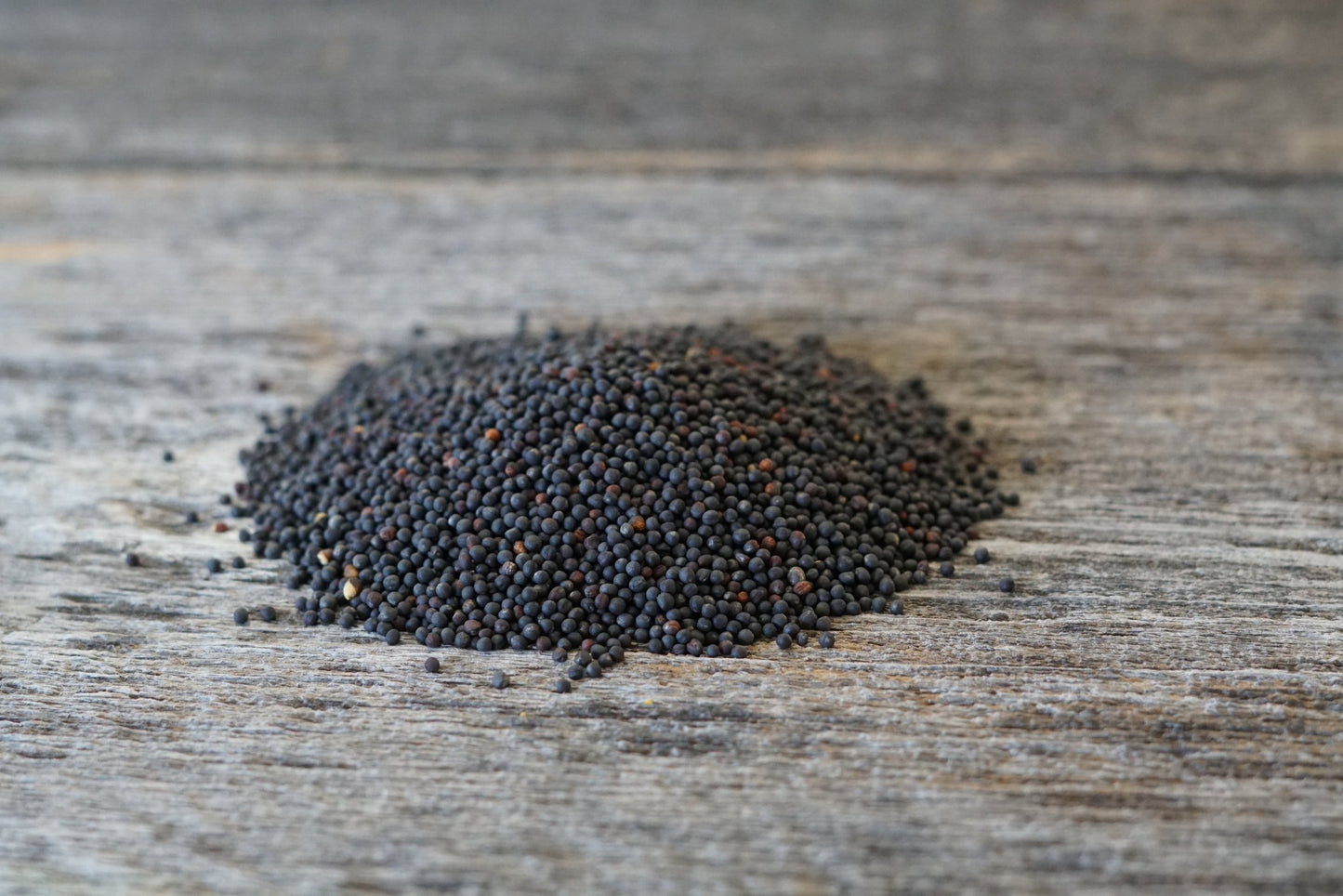 Rapeseed - Hale Habitat & Seed