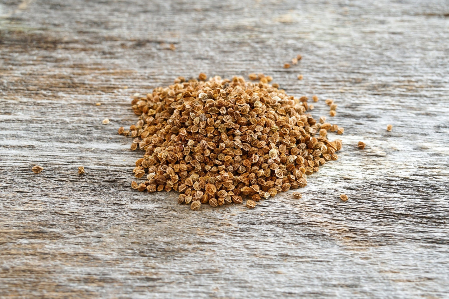 Small Burnet - Hale Habitat & Seed
