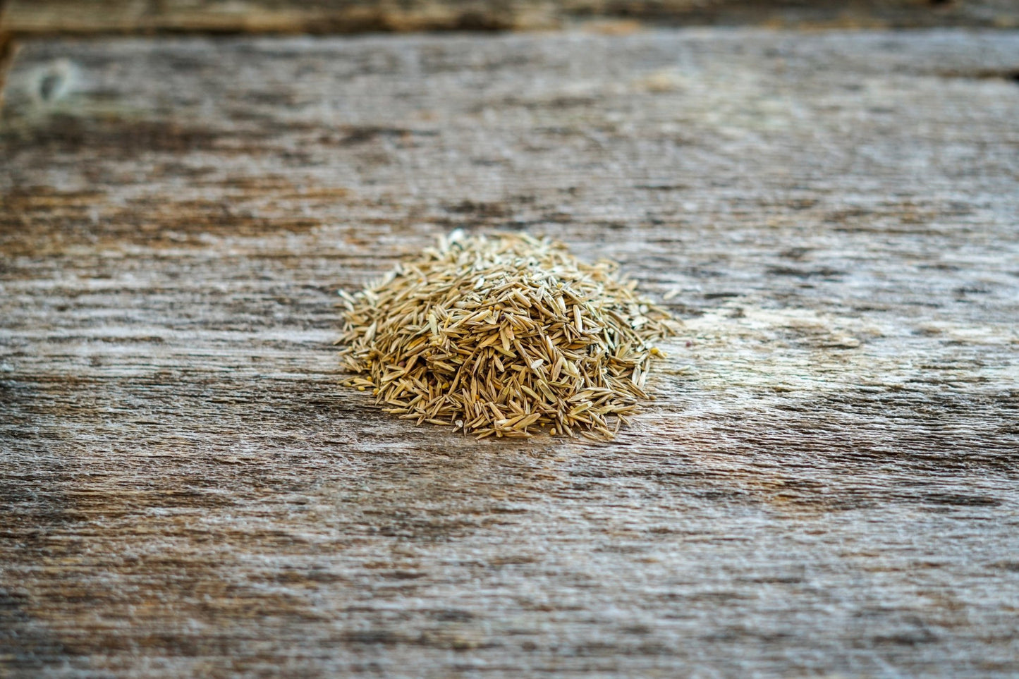 Trail Mix - Hale Habitat & Seed