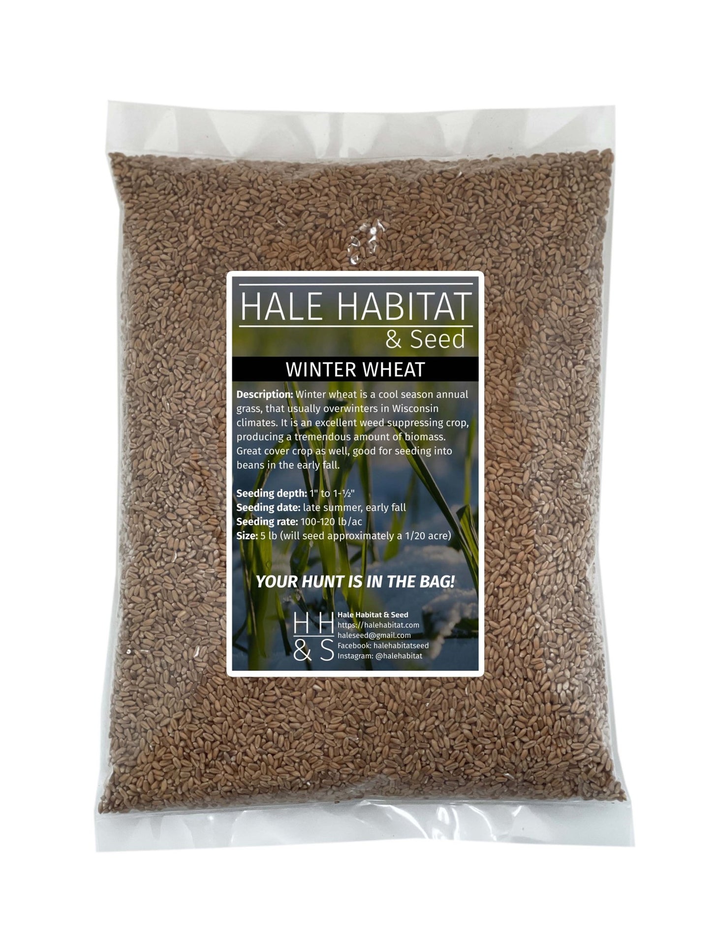 Winter Wheat - Hale Habitat & Seed