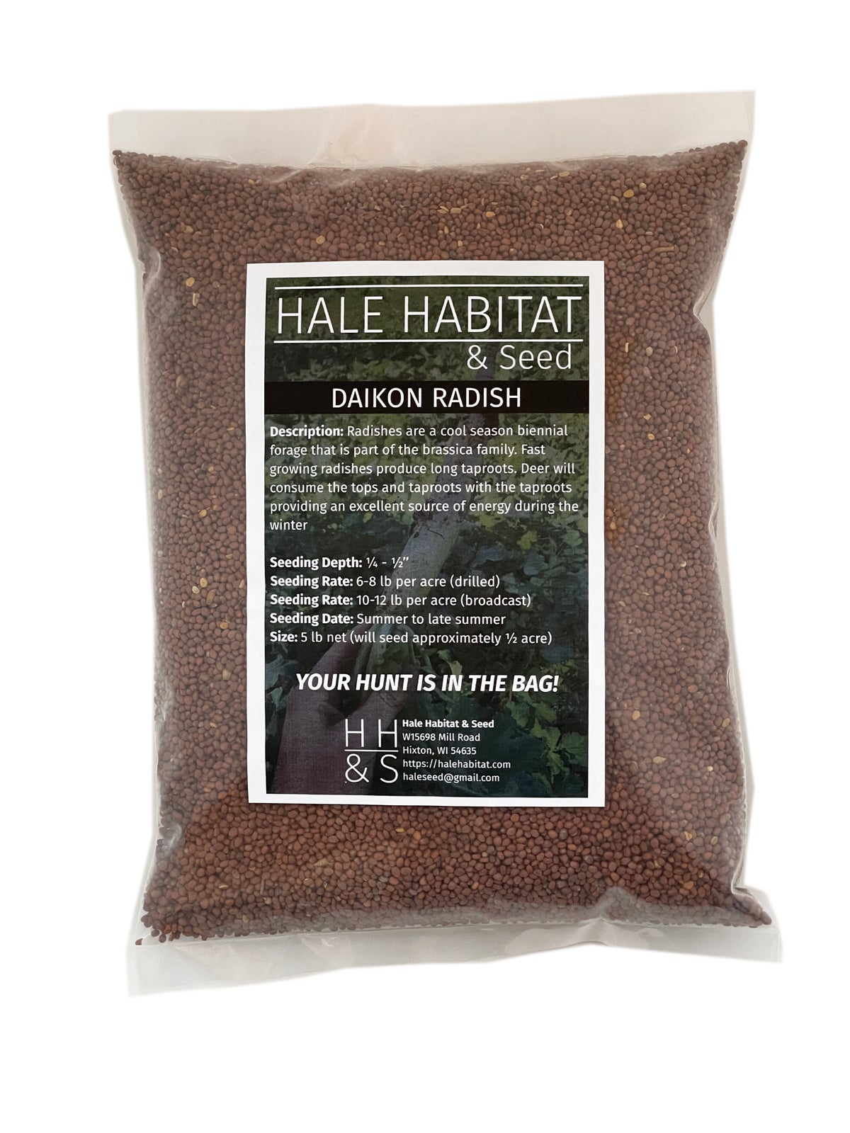 Daikon Radish - Hale Habitat & Seed