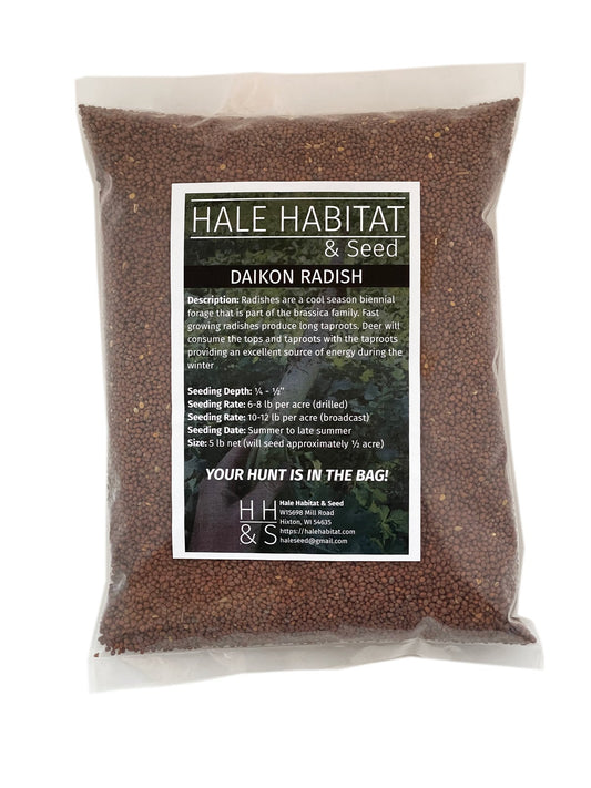 Daikon Radish - Hale Habitat & Seed