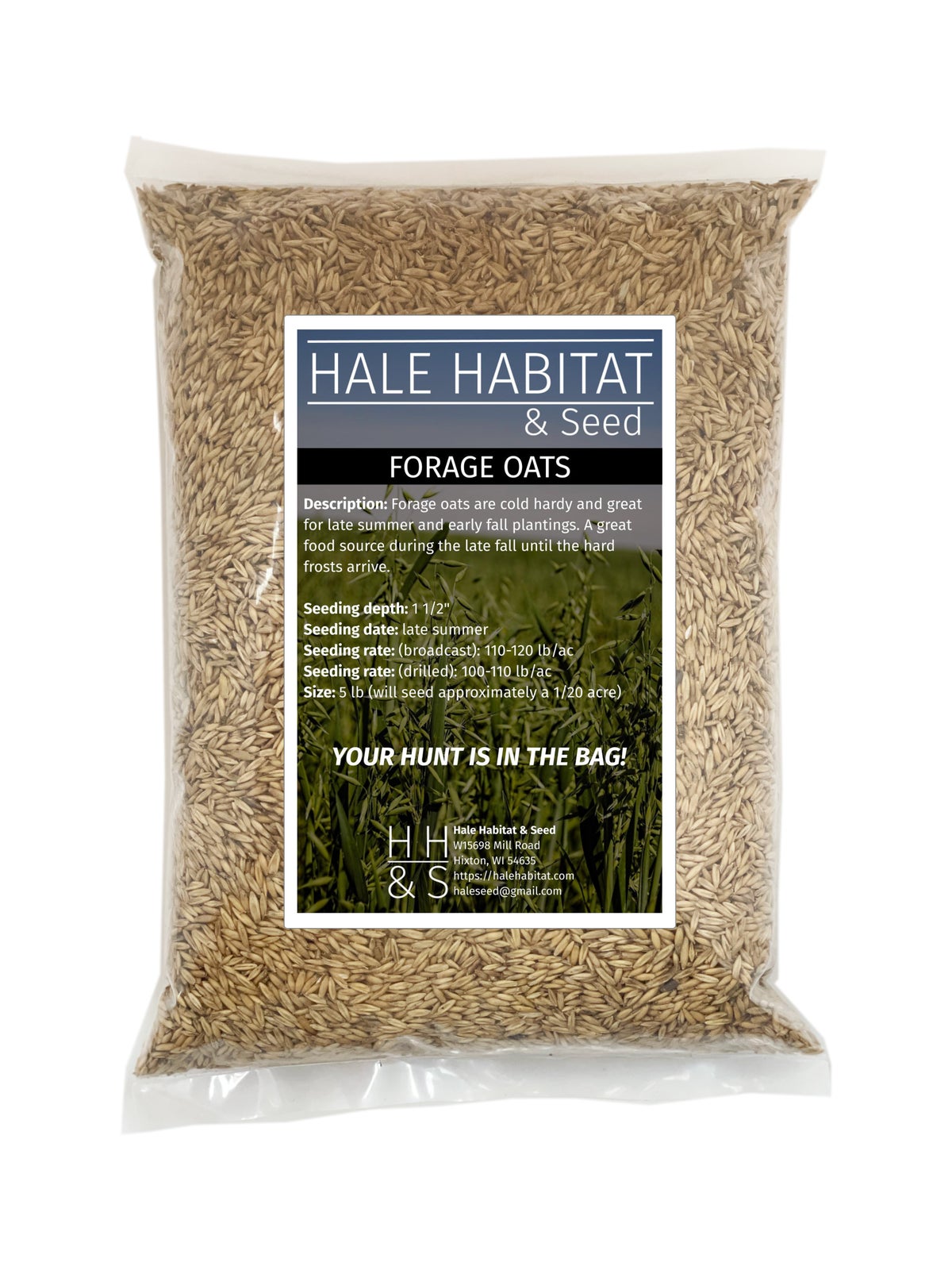 Forage Oats - Hale Habitat & Seed