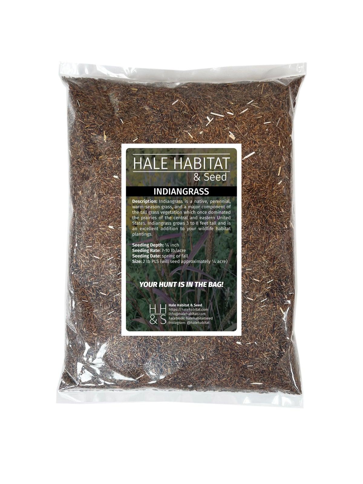 Indiangrass - Hale Habitat & Seed