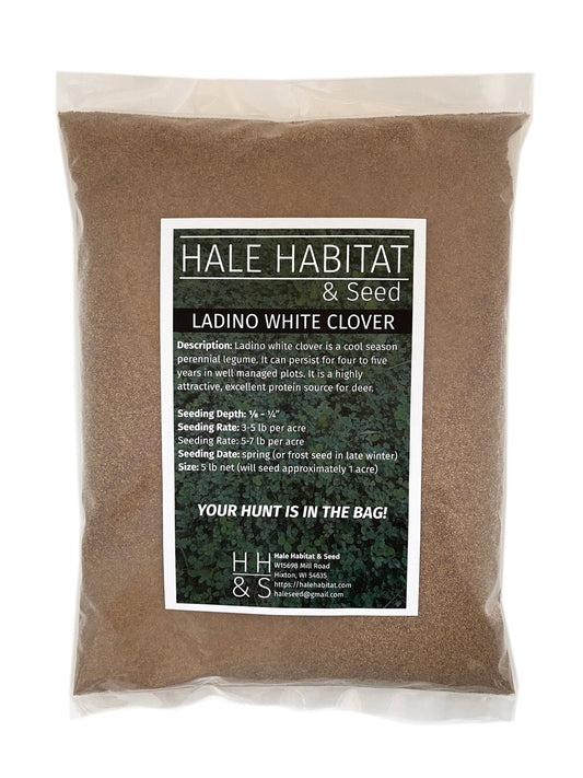Ladino White Clover (pre - inoculated) - Hale Habitat & Seed