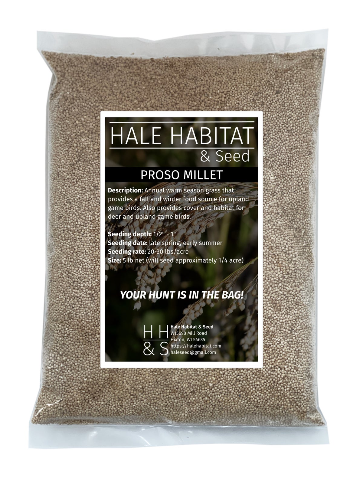 Proso Millet - Hale Habitat & Seed