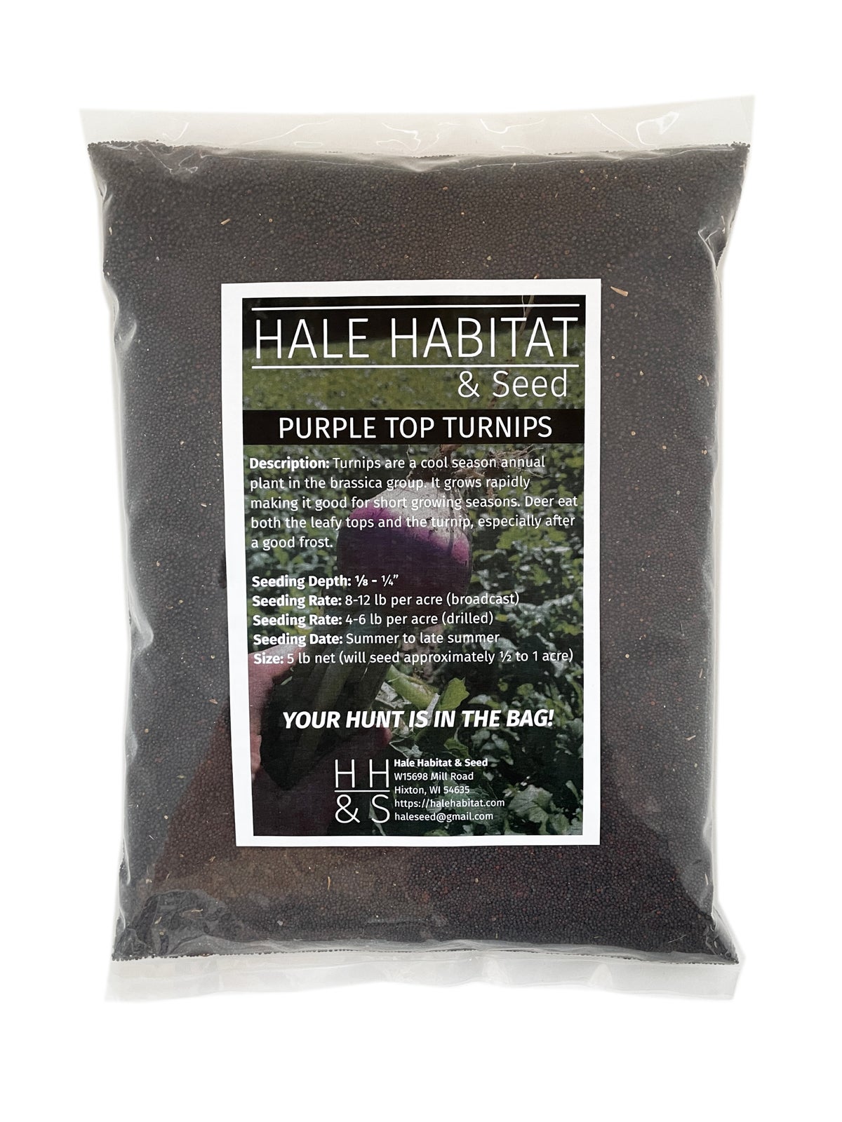turnip seed planting depth Purple Top Turnip