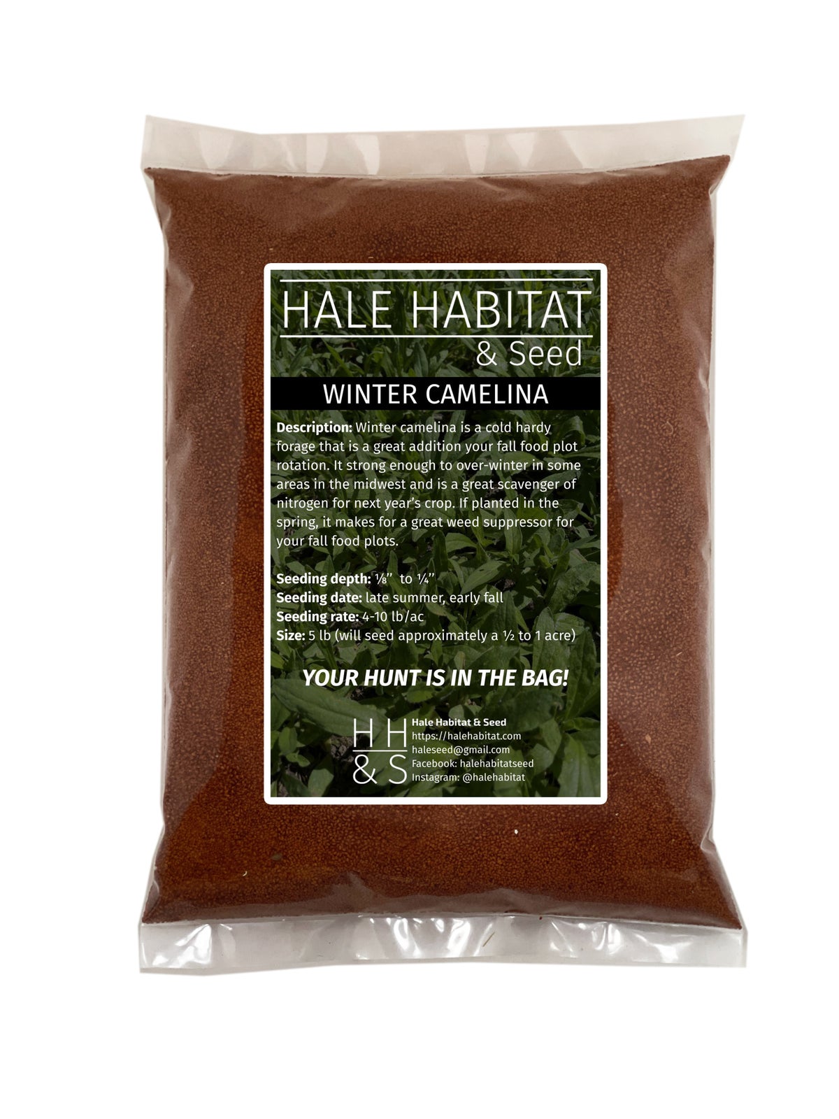 Winter Camelina - Hale Habitat & Seed