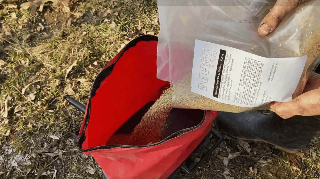 Frost Seeding for Wildlife Food Plots - Hale Habitat & Seed