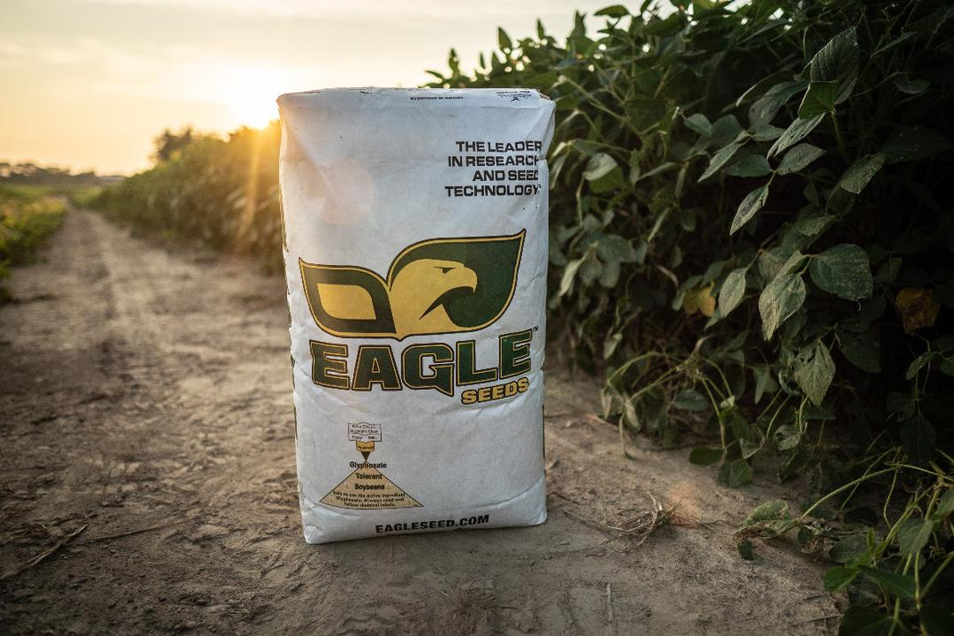 Eagle Riding Corn Premium Eagle Seed Corn and Soybean Varieties – Hale Habitat & Seed