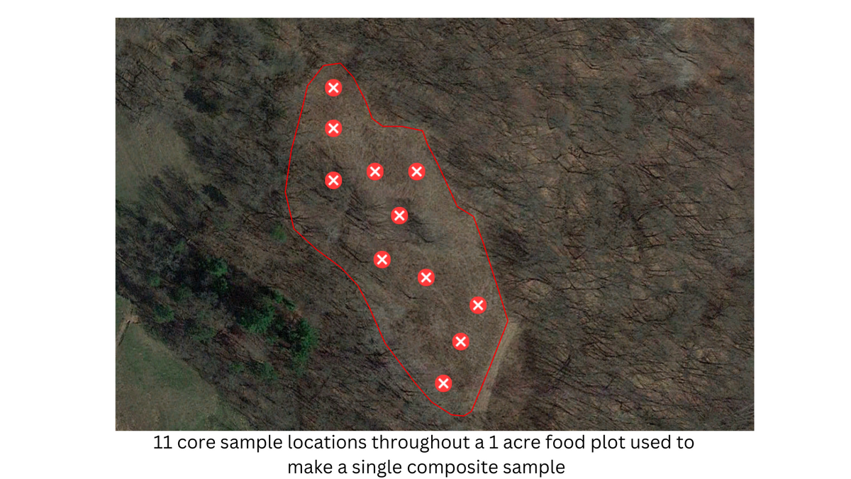 Alpha Rack Food Plot Food Plot Planting Basics | Hale Habitat & Seed