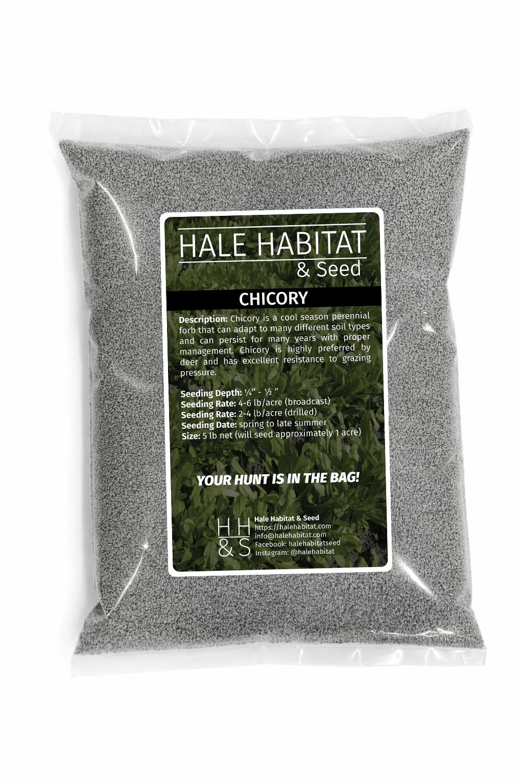 chicory seeds for planting Hale Habitat & Seed Chicory Food Plot Seed, 5 lbs