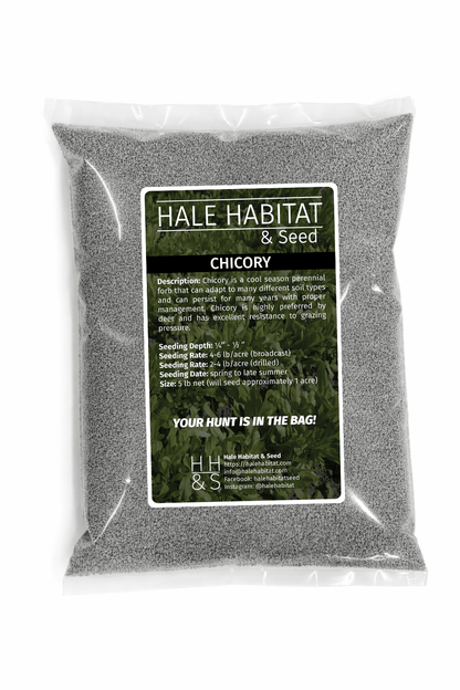 Chicory - Hale Habitat & Seed
