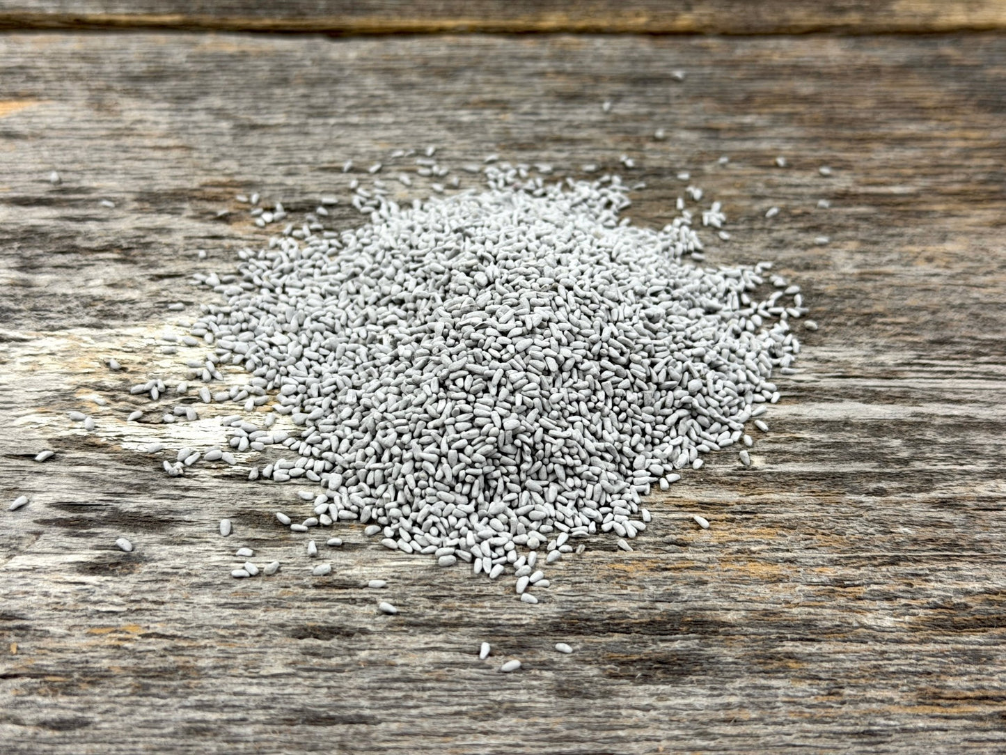 Chicory - Hale Habitat & Seed