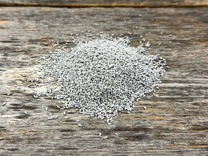 Chicory - Hale Habitat & Seed