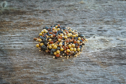 planting bird seed for food plots Ultimate Upland Bird & Deer Attractant Blend – Hale Habitat & Seed